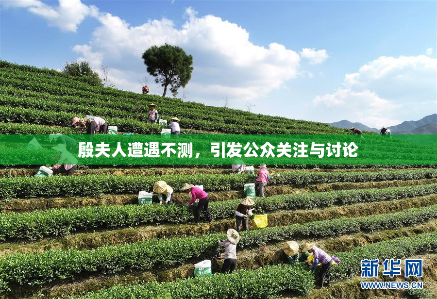 殷夫人遭遇不测，引发公众关注与讨论