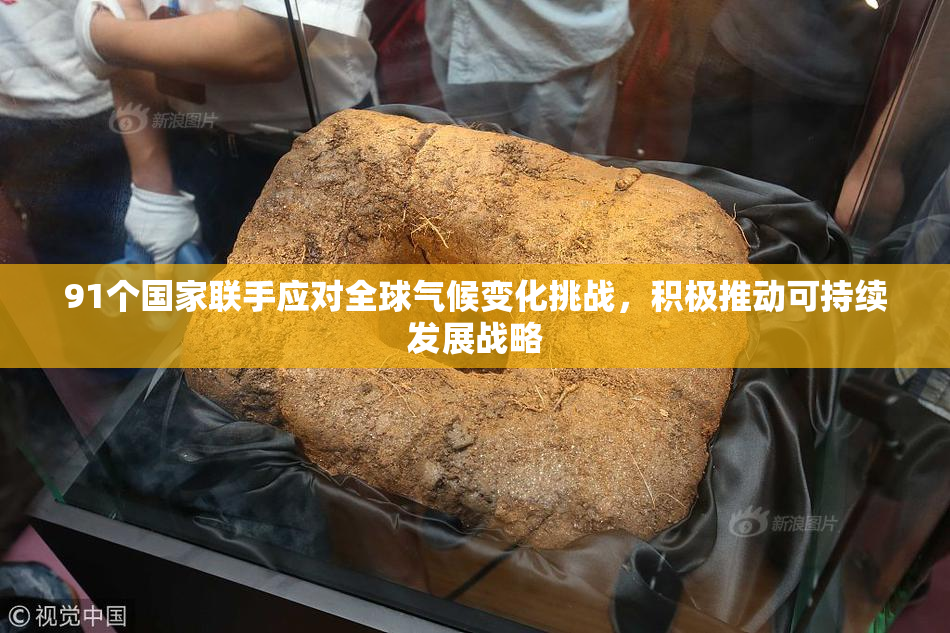 91个国家联手应对全球气候变化挑战，积极推动可持续发展战略