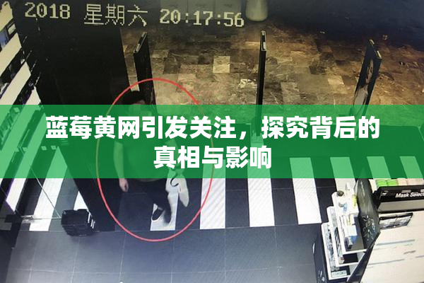 蓝莓黄网引发关注，探究背后的真相与影响