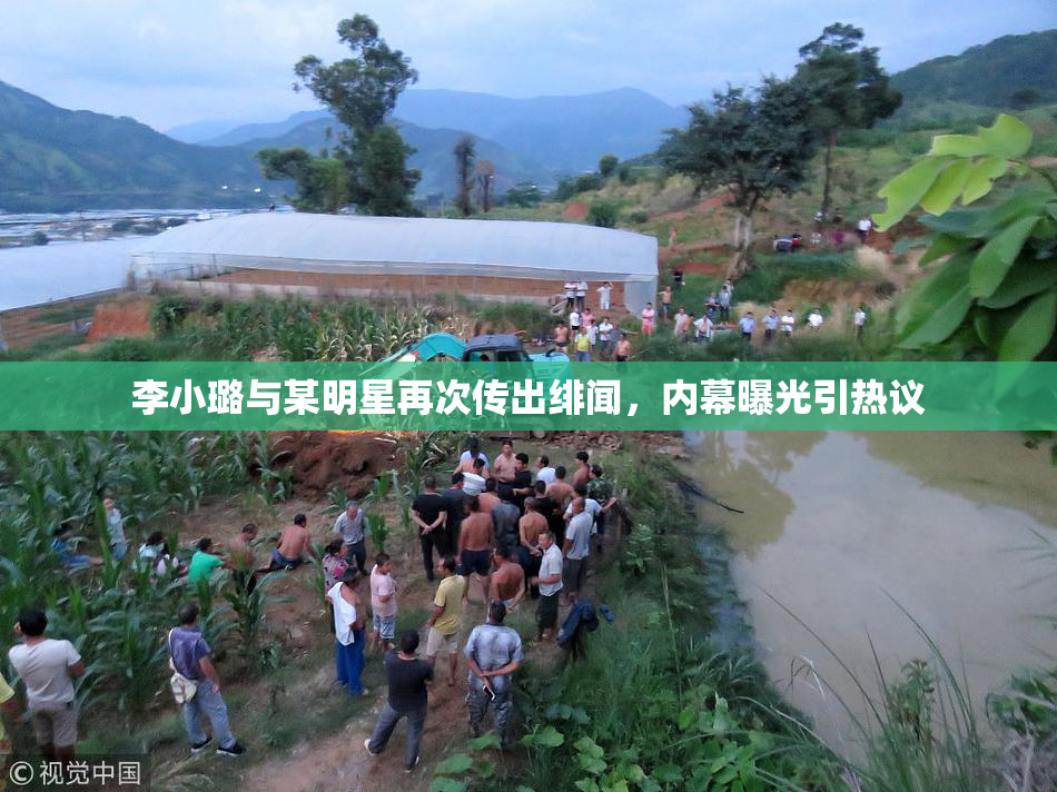 李小璐与某明星再次传出绯闻，内幕曝光引热议