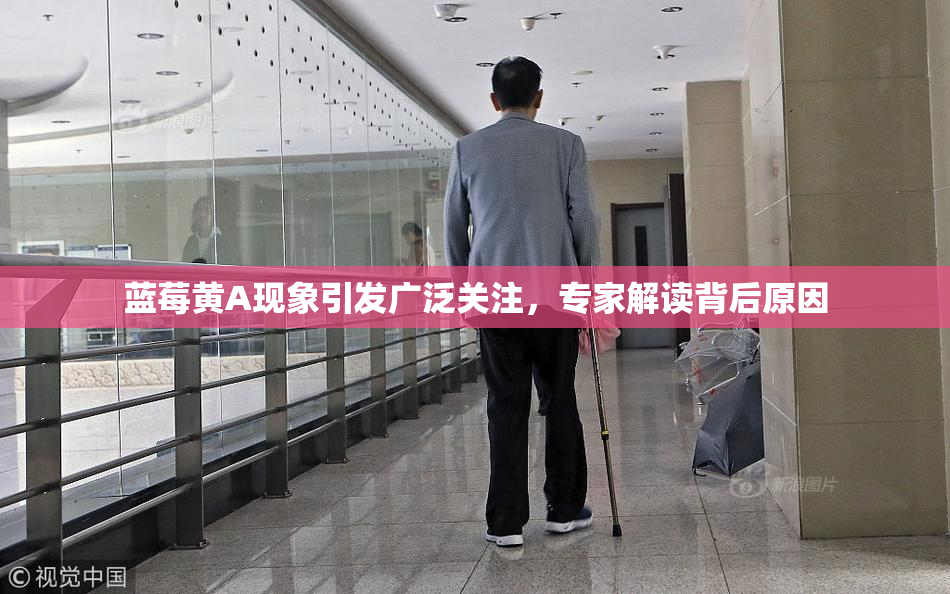 蓝莓黄A现象引发广泛关注，专家解读背后原因