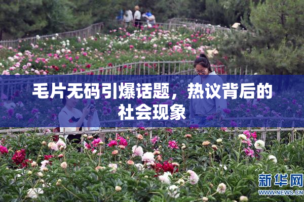 毛片无码引爆话题，热议背后的社会现象