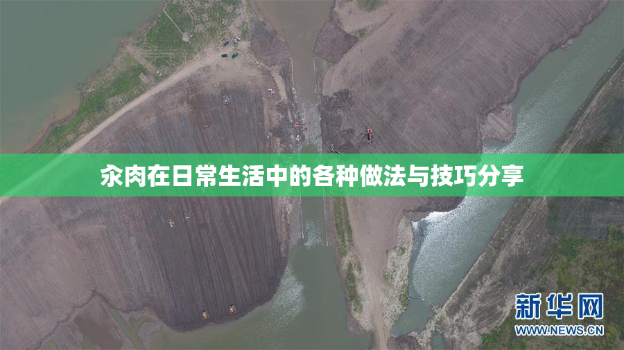 汆肉在日常生活中的各种做法与技巧分享
