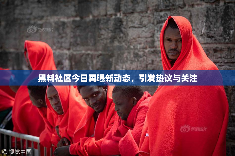 黑料社区今日再曝新动态，引发热议与关注
