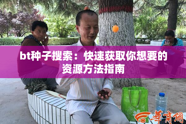bt种子搜索：快速获取你想要的资源方法指南