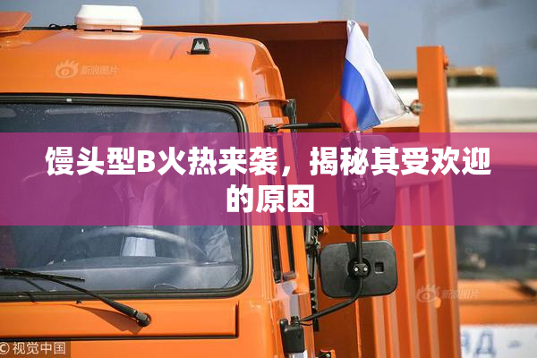 馒头型B火热来袭，揭秘其受欢迎的原因