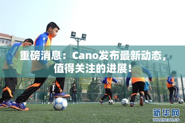 重磅消息：Cano发布最新动态，值得关注的进展！