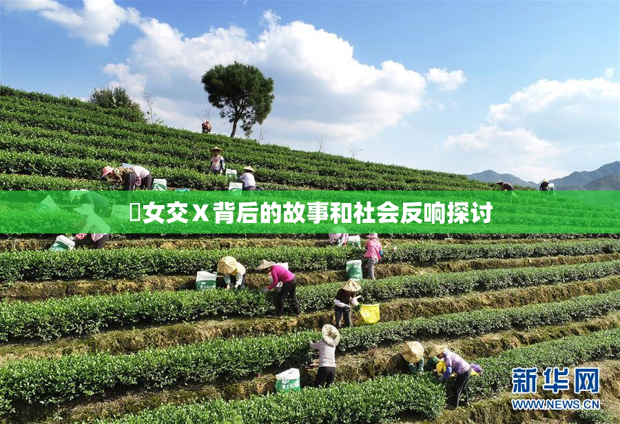 乣女交Ⅹ背后的故事和社会反响探讨