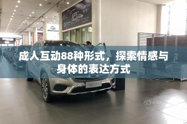 成人互动88种形式，探索情感与身体的表达方式