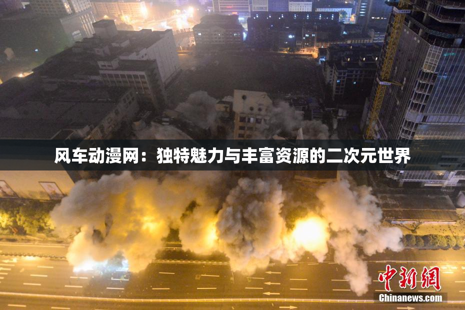 风车动漫网：独特魅力与丰富资源的二次元世界