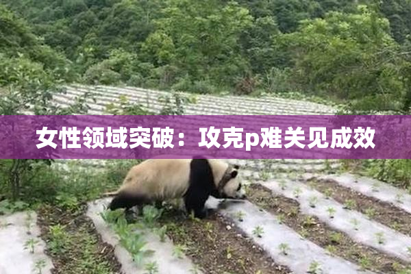 女性领域突破：攻克p难关见成效