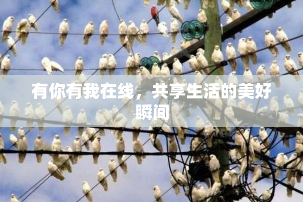 有你有我在线，共享生活的美好瞬间