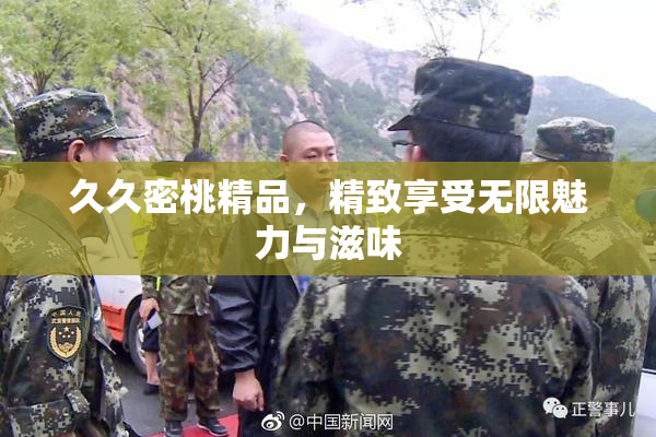 久久密桃精品，精致享受无限魅力与滋味