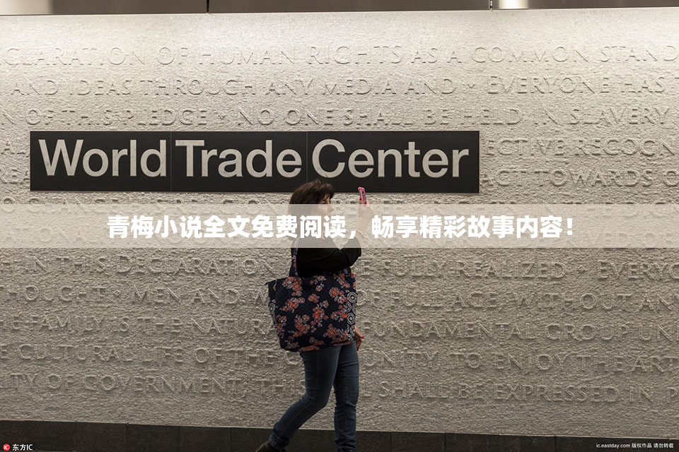 青梅小说全文免费阅读，畅享精彩故事内容！