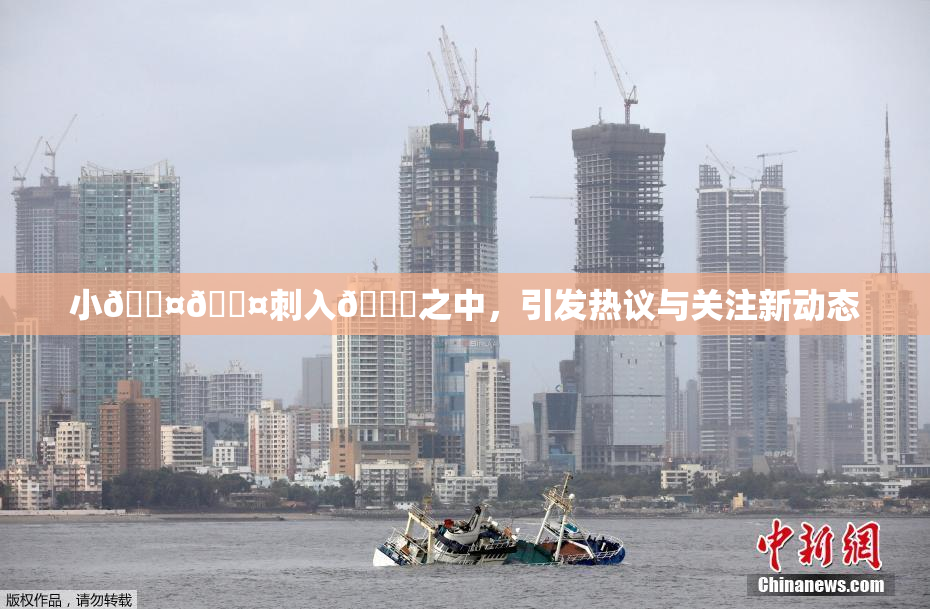 小🐤🐤刺入🍑之中，引发热议与关注新动态