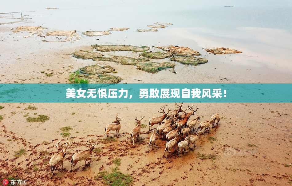 美女无惧压力，勇敢展现自我风采！