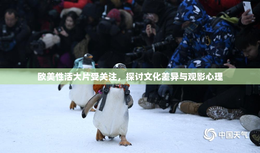 欧美性活大片受关注，探讨文化差异与观影心理