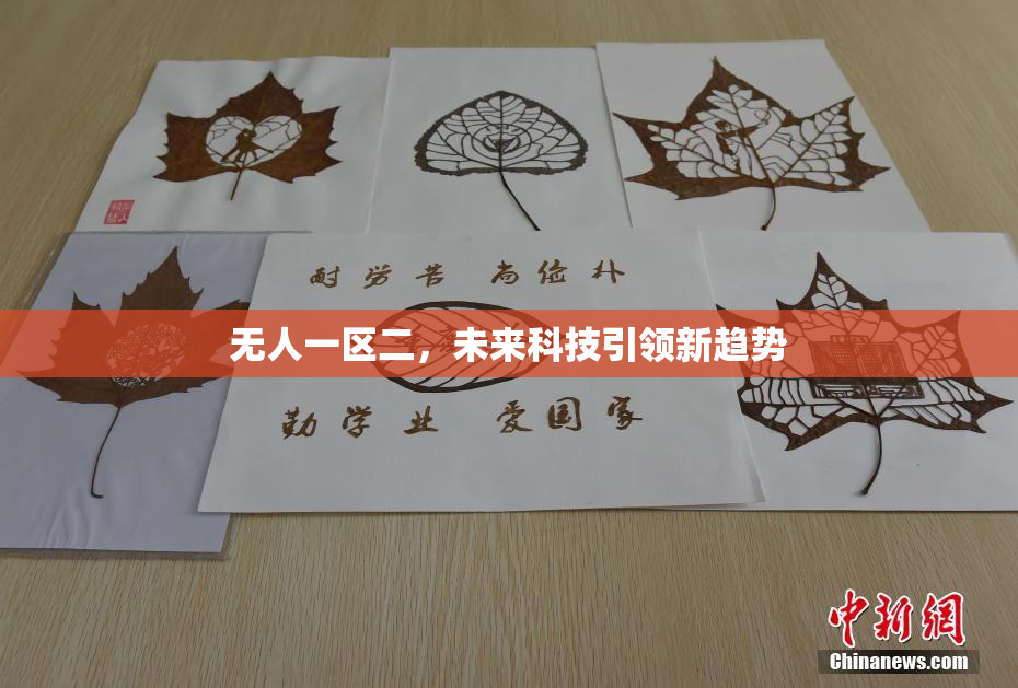 无人一区二，未来科技引领新趋势