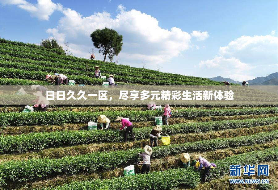 日日久久一区，尽享多元精彩生活新体验