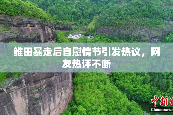 雏田暴走后自慰情节引发热议，网友热评不断