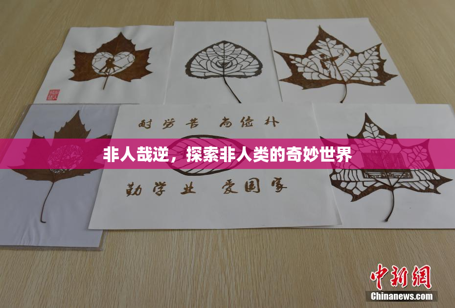 非人哉逆，探索非人类的奇妙世界