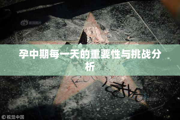 孕中期每一天的重要性与挑战分析