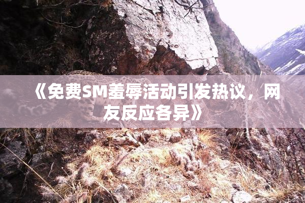 《免费SM羞辱活动引发热议，网友反应各异》