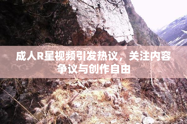 成人R星视频引发热议，关注内容争议与创作自由