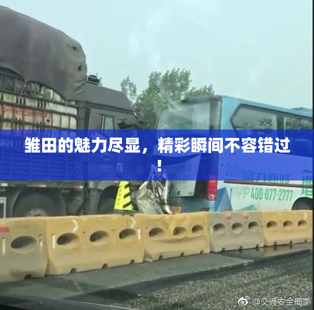 雏田的魅力尽显，精彩瞬间不容错过！