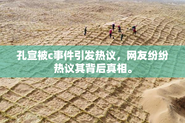 孔宣被c事件引发热议，网友纷纷热议其背后真相。