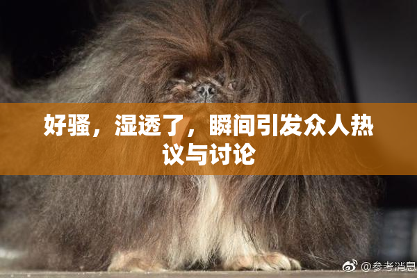 好骚，湿透了，瞬间引发众人热议与讨论