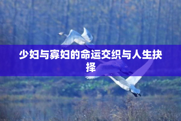 少妇与寡妇的命运交织与人生抉择