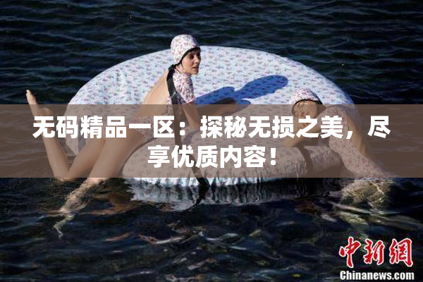 无码精品一区：探秘无损之美，尽享优质内容！