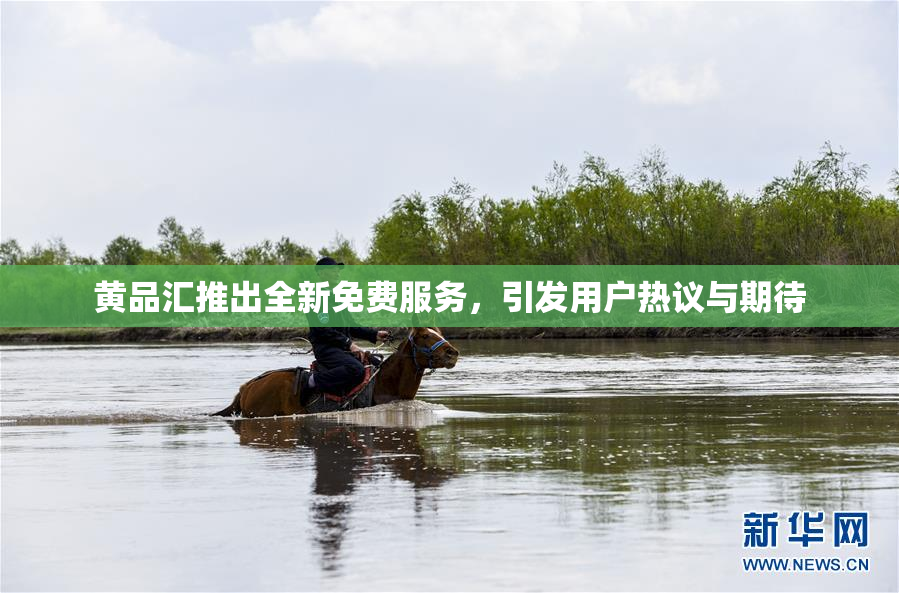 黄品汇推出全新免费服务，引发用户热议与期待