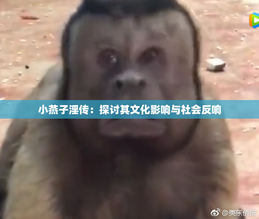 小燕子淫传：探讨其文化影响与社会反响