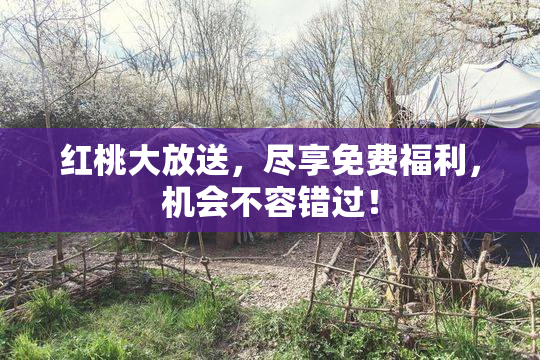 红桃大放送，尽享免费福利，机会不容错过！