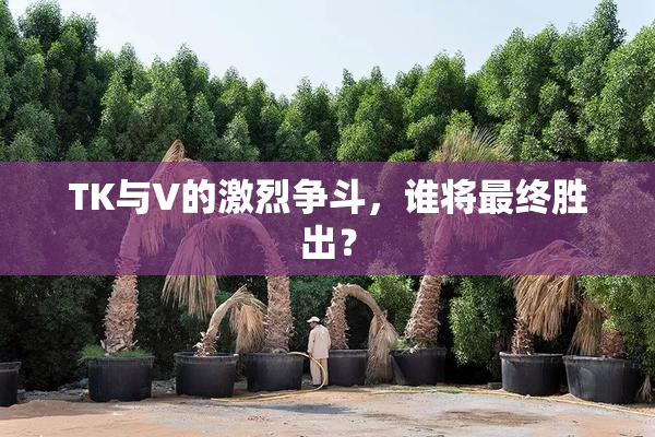 TK与V的激烈争斗，谁将最终胜出？
