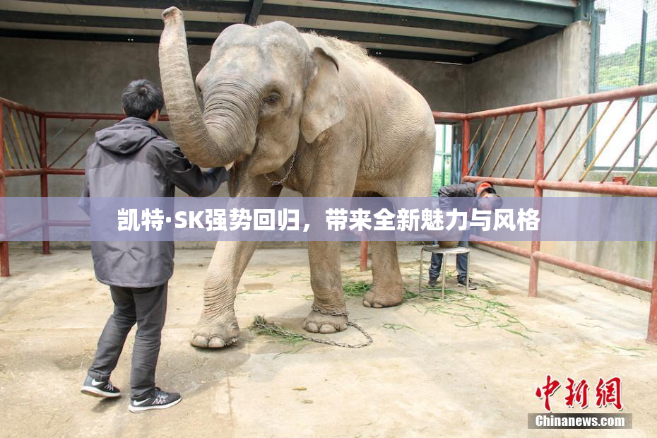 凯特·SK强势回归，带来全新魅力与风格