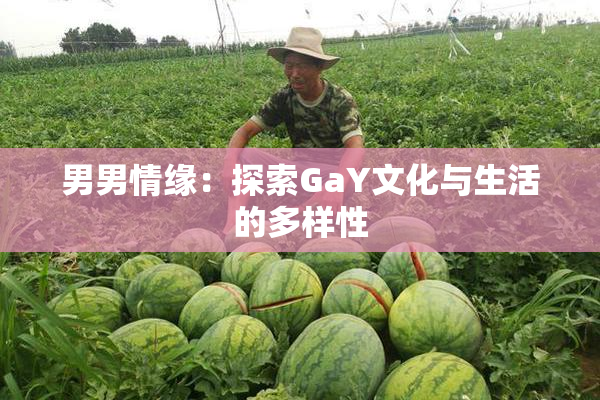 男男情缘：探索GaY文化与生活的多样性