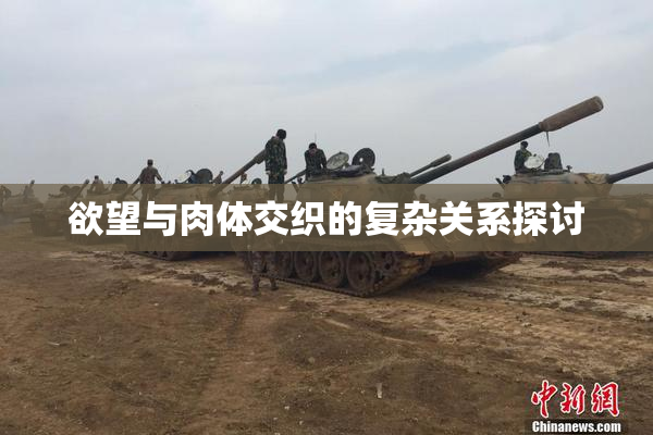 欲望与肉体交织的复杂关系探讨