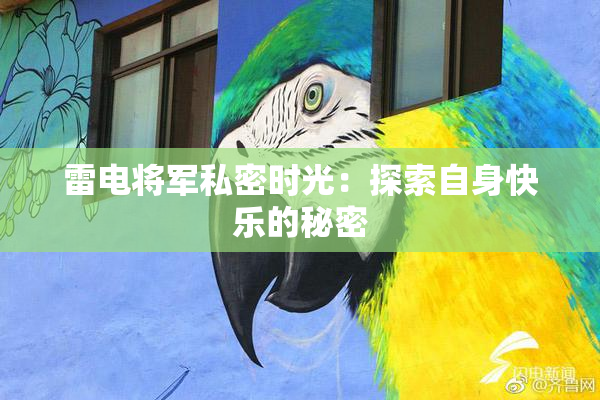 雷电将军私密时光：探索自身快乐的秘密