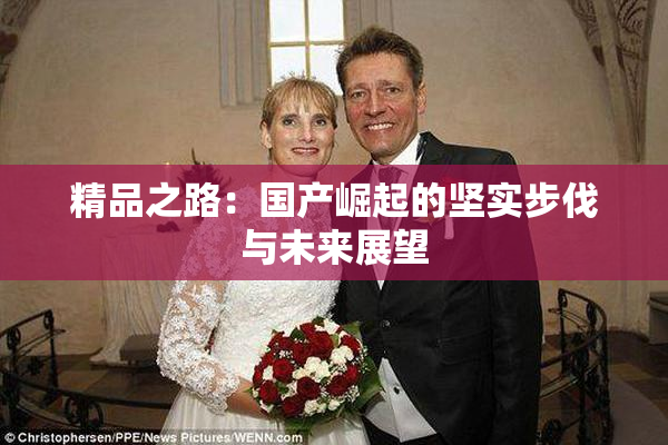 精品之路：国产崛起的坚实步伐与未来展望