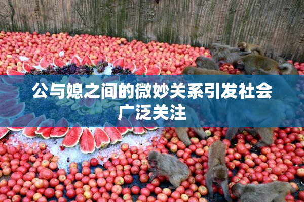 公与媳之间的微妙关系引发社会广泛关注