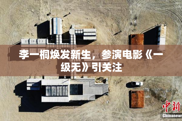 李一桐焕发新生，参演电影《一级无》引关注