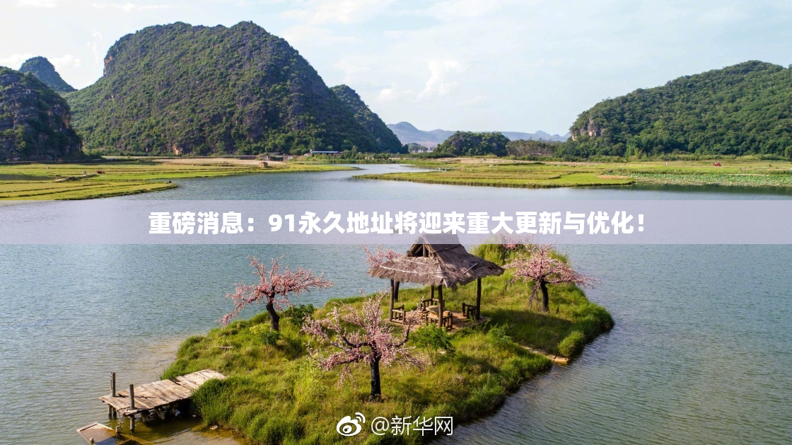 重磅消息：91永久地址将迎来重大更新与优化！