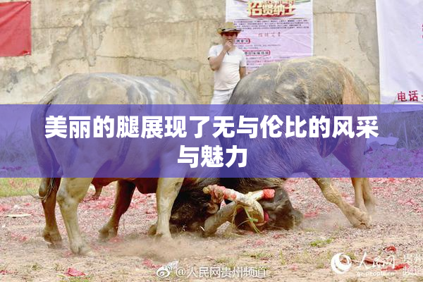 美丽的腿展现了无与伦比的风采与魅力