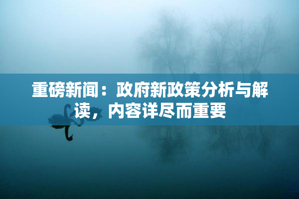 重磅新闻：政府新政策分析与解读，内容详尽而重要