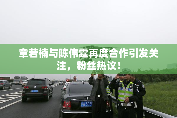 章若楠与陈伟霆再度合作引发关注，粉丝热议！