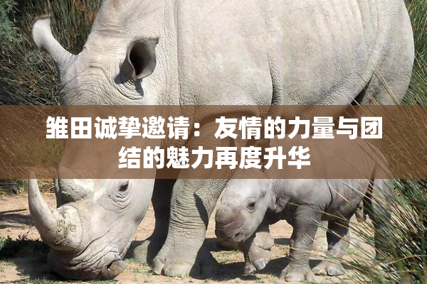 雏田诚挚邀请：友情的力量与团结的魅力再度升华