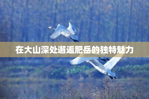 在大山深处邂逅肥岳的独特魅力